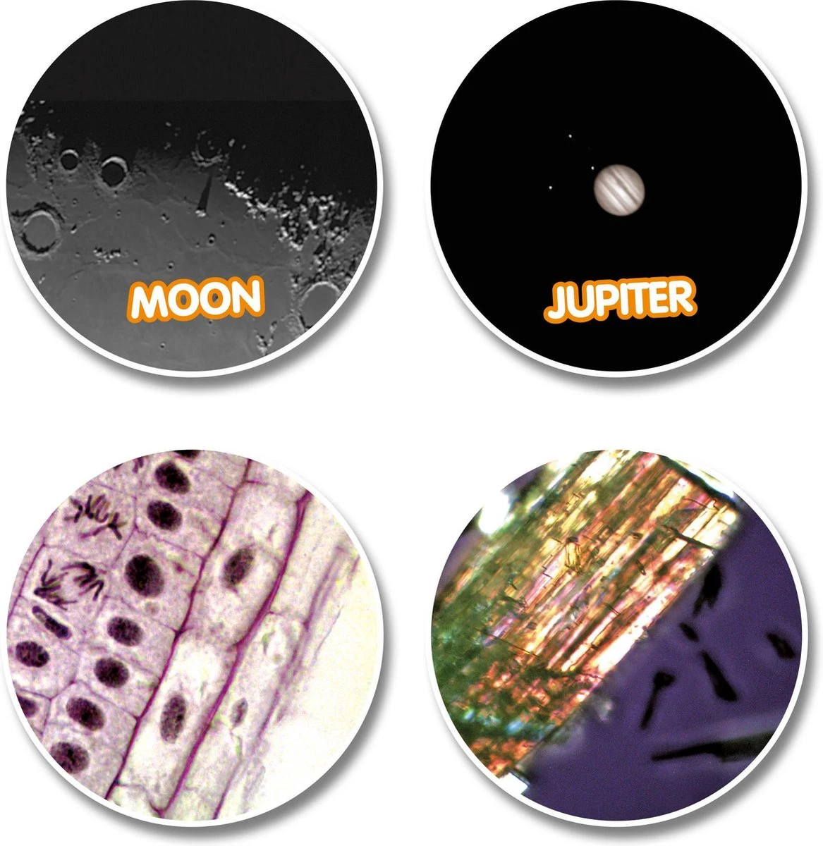 National Geographic Telescoop- En Microscoopset Voor Kinderen Incl. Accessoires 9 National Geographic Telescoop- En Microscoopset Voor Kinderen Incl. Accessoires - Afbeelding 7