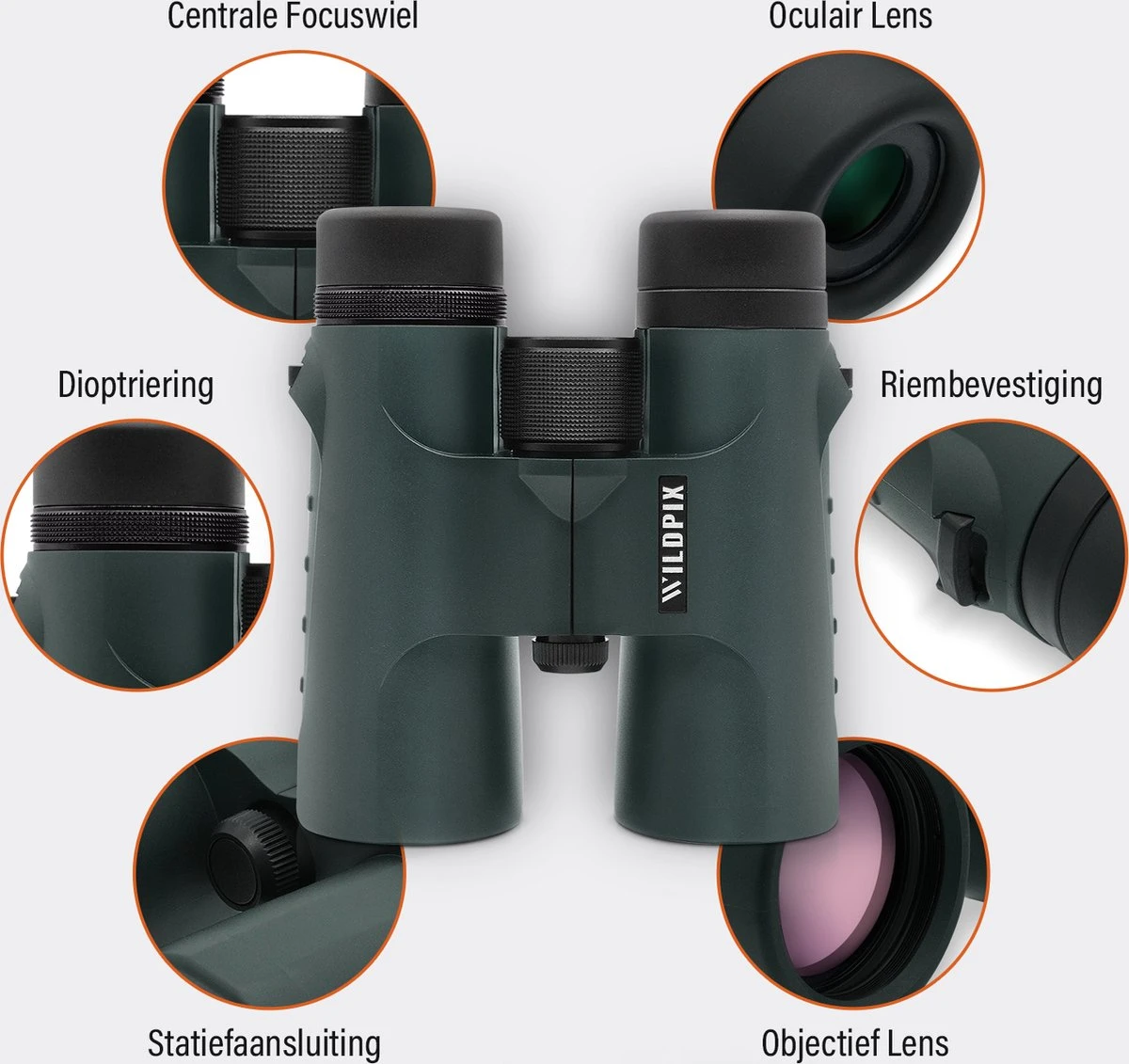Verrekijker Waterdichte Wildpix XD 8x42 - Compact En Gas Gevuld Voor Volwassenen - Vogelen , Wildlife En Outdoor - Groen 6 Verrekijker Waterdichte Wildpix XD 8x42 - Compact En Gas Gevuld Voor Volwassenen - Vogelen , Wildlife En Outdoor - Groen - Afbeelding 4