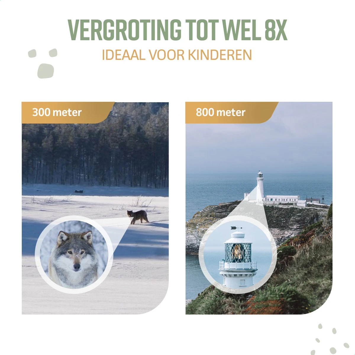 NAPI Verrekijker Voor Kinderen - 8x Vergroting - Hoge Kwaliteit - Inclusief Accessoires - Vergrootglas - Blauw 10 NAPI Verrekijker Voor Kinderen - 8x Vergroting - Hoge Kwaliteit - Inclusief Accessoires - Vergrootglas - Blauw - Afbeelding 8