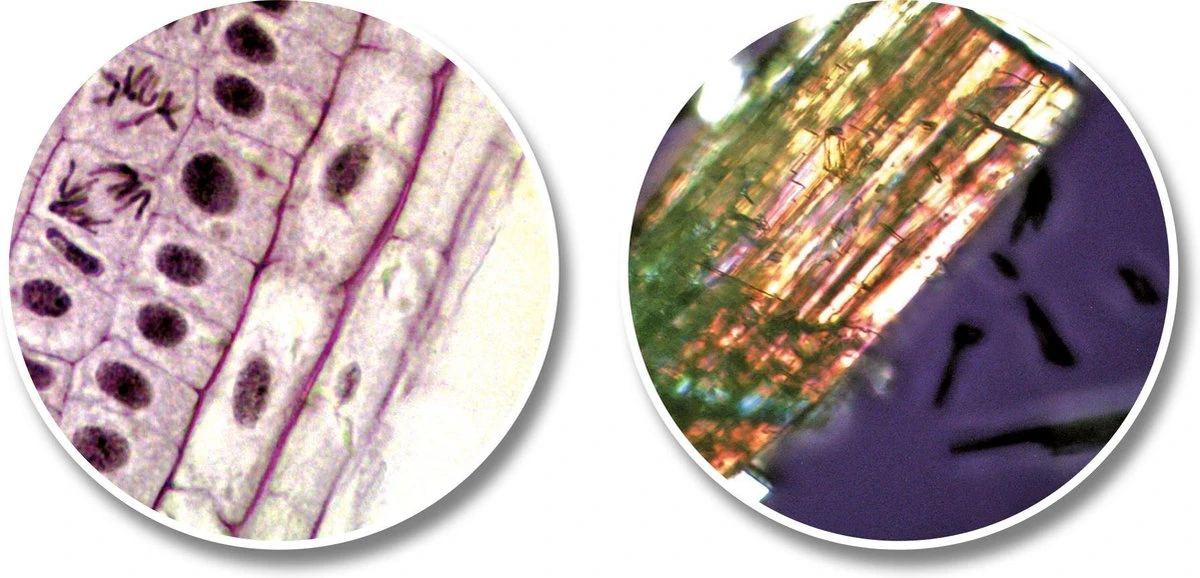 National Geographic Telescoop- En Microscoopset Voor Kinderen Incl. Accessoires 7 National Geographic Telescoop- En Microscoopset Voor Kinderen Incl. Accessoires - Afbeelding 5