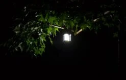 LED Camping Lamp 2 In 1 Hoge Kwaliteit - Zaklamp En Campinglamp - Inclusief AA Batterijen 19 LED Camping Lamp 2 In 1 Hoge Kwaliteit - Zaklamp En Campinglamp - Inclusief AA Batterijen -Bol 1200x768 2