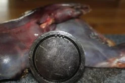 【JACHTMAGNEET / HAGELMAGNEET 】– Jacht Accessoires 2020 – Hagel Verwijderaar – Jagers Cadeau - Wild Magneet 10 【JACHTMAGNEET / HAGELMAGNEET 】– Jacht Accessoires 2020 – Hagel Verwijderaar – Jagers Cadeau - Wild Magneet -Bol 1200x800 104