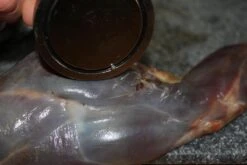 【JACHTMAGNEET / HAGELMAGNEET 】– Jacht Accessoires 2020 – Hagel Verwijderaar – Jagers Cadeau - Wild Magneet 12 【JACHTMAGNEET / HAGELMAGNEET 】– Jacht Accessoires 2020 – Hagel Verwijderaar – Jagers Cadeau - Wild Magneet -Bol 1200x800 106