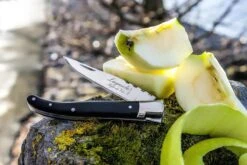 Laguiole Style De Vie Zakmes - In Giftbox - Zwart Ebbenhout -Bol 1200x800 48