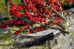 Laguiole Style De Vie Zakmes - In Giftbox - Zwart Ebbenhout -Bol 1200x800 49