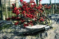 Laguiole Style De Vie Zakmes - In Giftbox - Zwart Ebbenhout -Bol 1200x800 51