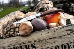 Laguiole Style De Vie Zakmes - In Giftbox - Rozenhout 22 Laguiole Style De Vie Zakmes - In Giftbox - Rozenhout -Bol 1200x800 65