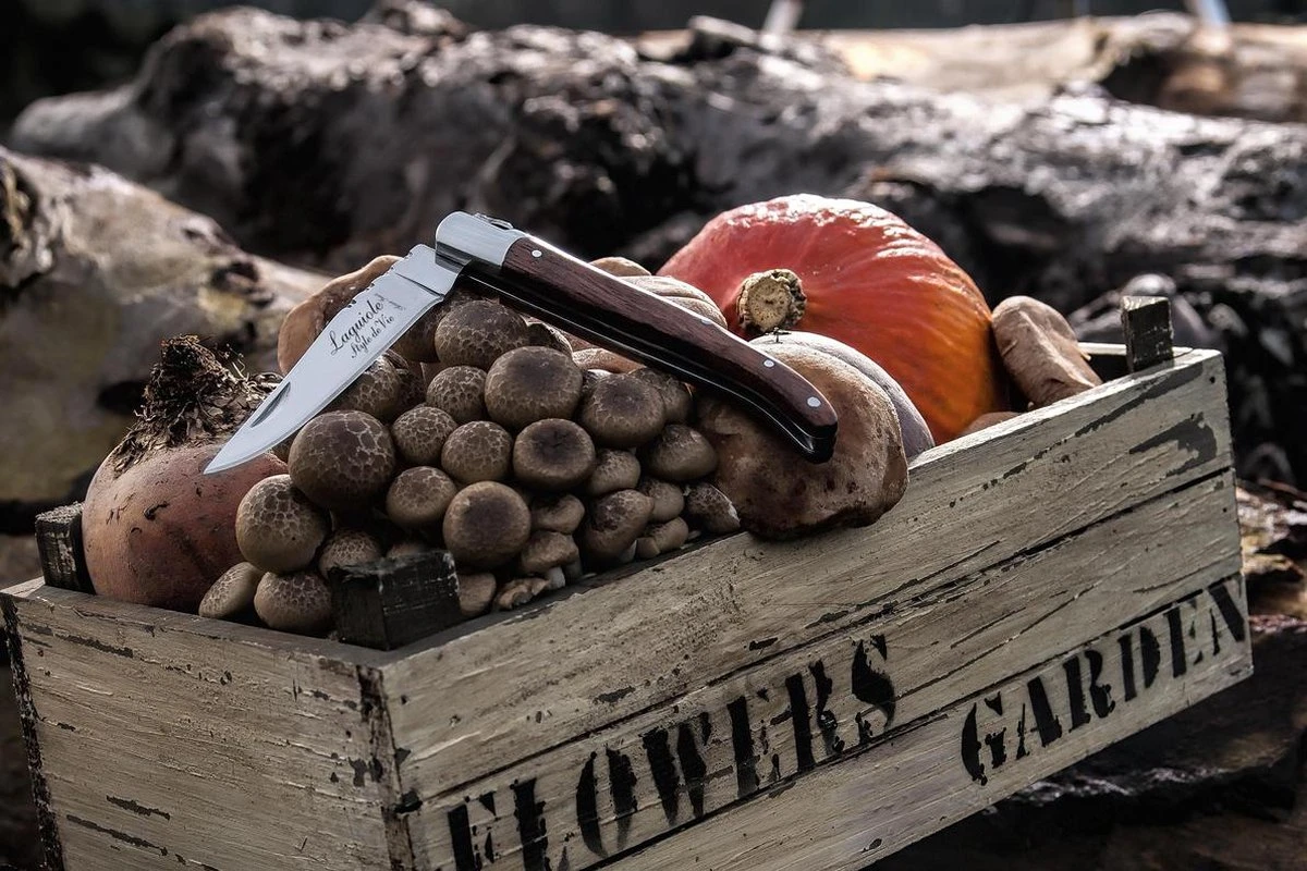 Laguiole Style De Vie Zakmes - In Giftbox - Rozenhout 8 Laguiole Style De Vie Zakmes - In Giftbox - Rozenhout - Afbeelding 6