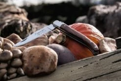 Laguiole Style De Vie Zakmes - In Giftbox - Rozenhout 26 Laguiole Style De Vie Zakmes - In Giftbox - Rozenhout -Bol 1200x800 69