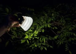 Solar Led Camping Lamp - Tent Verlichting Oplaadbaar - Solar Lantaarn Tafellamp Opvouwbare Campinglamp - King Mungo -Bol 1200x856 2