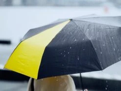 Sanplu® Original Stormparaplu - Opvouwbaar - Inklapbaar - Stormbestendig - Incl. Tas 12 Sanplu® Original Stormparaplu - Opvouwbaar - Inklapbaar - Stormbestendig - Incl. Tas -Bol 1200x899 4