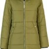 BJØRNSON Fia Winterparka Dames - Winddicht - Waterafstotend - Maat 44 - Mayfly 1 BJØRNSON Fia Winterparka Dames - Winddicht - Waterafstotend - Maat 44 - Mayfly -Bol 674x1200 2