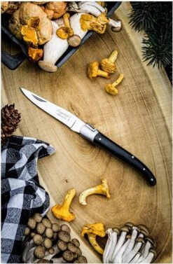 Laguiole Style De Vie Zakmes - In Giftbox - Zwart Ebbenhout -Bol 787x1200 2