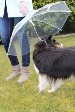 United Entertainment - Honden Paraplu - Wit -Bol 800x1200 57